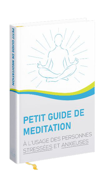 petit guide de méditation livre